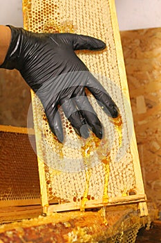 Making honey. Removing wax from frames with honeycombs