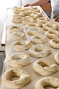 Making Italian frisella bread