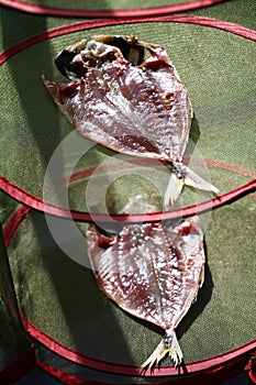 Making japanese dried fish, sakana no himono