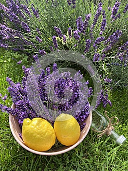 Making a lavender syrup abstract concept