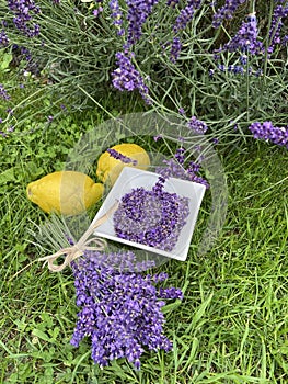 Making a lavender syrup abstract concept