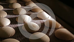 Making a loaf of bread in the bakery