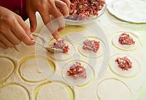 Making meat dumplings