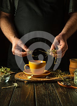 Making medicinal tea from dry herbs. Add dry chamomile to a mug of boiling water. The concept of traditional medicine at home