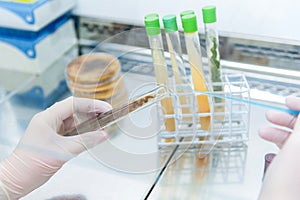 Taking microbiological samples