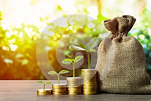 Making money and money investment, Savings concept. A plant growing on rising stack of coins with money bag and nature background