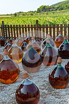 Making of natural sweet dessert muscat liqueur white wine outside in big round glass antique demijohn bottles in