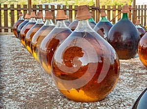 Making of natural sweet dessert muscat liqueur white wine outside in big round glass antique demijohn bottles in