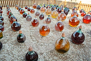 Making of natural sweet dessert muscat liqueur white wine outside in big round glass antique demijohn bottles in Frontignan, south