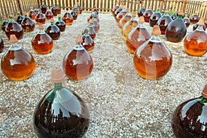 Making of natural sweet dessert muscat liqueur white wine outside in big round glass antique demijohn bottles in Frontignan, south