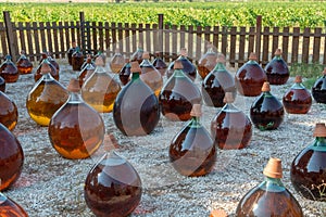 Making of natural sweet dessert muscat liqueur white wine outside in big round glass antique demijohn bottles in Frontignan, south