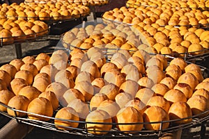 Making process of sun exposuring dried persimmon in a sieve in autumn