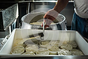 Making of ricotta cheese