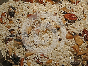 Making risotto - frying arborio rice