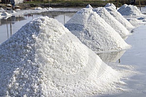 The Making of sea salt in salt farm