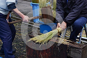 Making Shimenawa in Japanese shrine