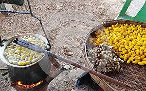 Making silk threads from yellow cocoons With the hands