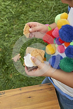 Making smores with crackers, marshmellow,chocolate