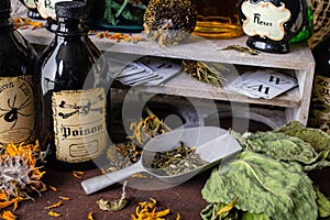 Making spells, hexes and potions