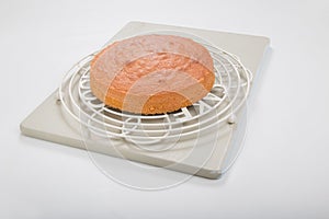 Making sponge cakes, cooked cake on round cooling rack