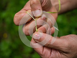 Making a string out of the plant fiber