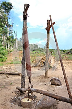 Making tapioca, Venezuela