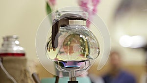 Making tea during a traditional Japanese tea ceremony