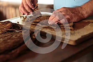 Making of tobacco cigars photo