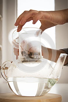 Making of valerian infusion tea set