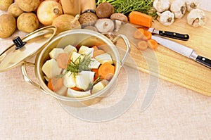Making winter casserole dish or stockpot with organic vegetables and chopping board photo