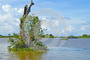 Makong River at Kampong Chhnang Province of Cambodia photo