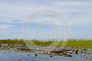 Makoro - Okavango Delta - Botswana