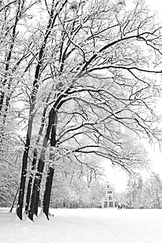 Maksimir Park in the winter.