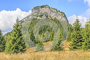 Maly Rozsutec in the Mala Fatra, Slovakia