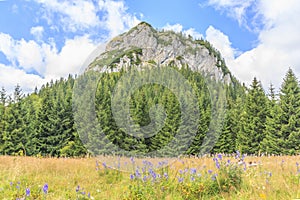 Maly Rozsutec in the Mala Fatra, Slovakia