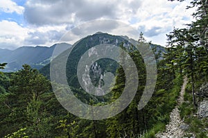 Mala Fatra mountain, Slovakia, Europe