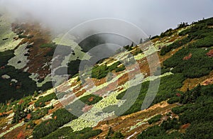 Mala fatra. Mountains landscape. Autumn landscape. Panorama mountains. Karpaty. Slovakia mountains