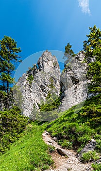 Mala Fatra mountains in Slovakia - hiking trail with rocks above leads to Boboty hill