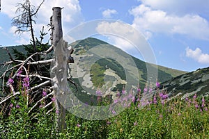 Malá Fatra,Slovensko