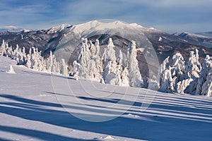 Mala Fatra mountains from Zazriva peak on Mala Fatra mountains near Martinske Hole