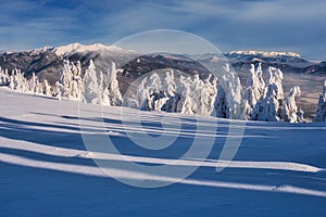 Mala Fatra mountains from Zazriva peak on Mala Fatra mountains near Martinske Hole