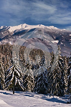 Mala Fatra peaks from meadow under Dlha Luka hill on Mala Fatra mountains  near Martinske Hole