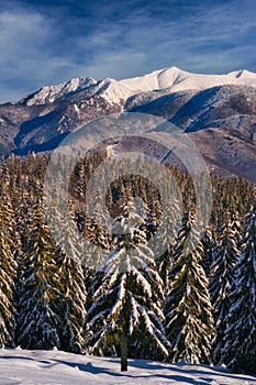 Mala Fatra peaks from meadow under Dlha Luka hill on Mala Fatra mountains  near Martinske Hole