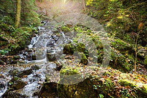 Mala Fatra Rozsutec mountains landscape