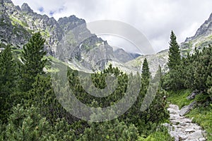 Mala studena dolina hiking trail in High Tatras, summer touristic season, wild nature, touristic trail