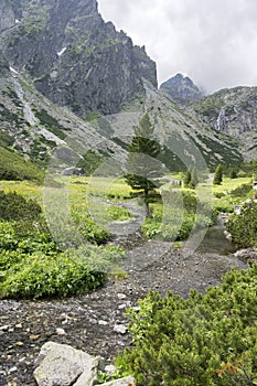Mala studena dolina hiking trail in High Tatras, summer touristic season, wild nature, touristic trail