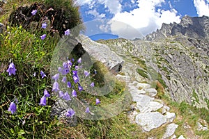 Malá studená dolina - dolina ve Vysokých Tatrách, Slovensko