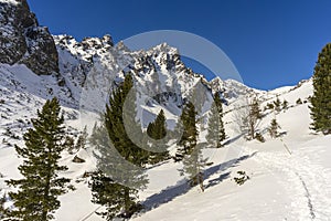 Malá Studená dolina v zimě. Tatry. Slovensko