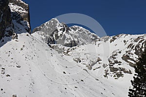Mala Studena valley in High Tatras