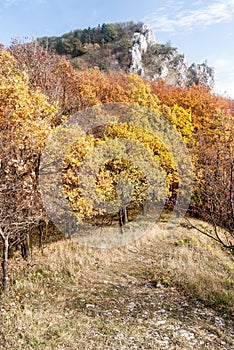 Mala Vapenna hill in autumn Male Karpaty mountains in Slovakia